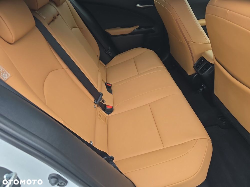 Lexus UX 250h GPF F Sport Design 2WD - 10