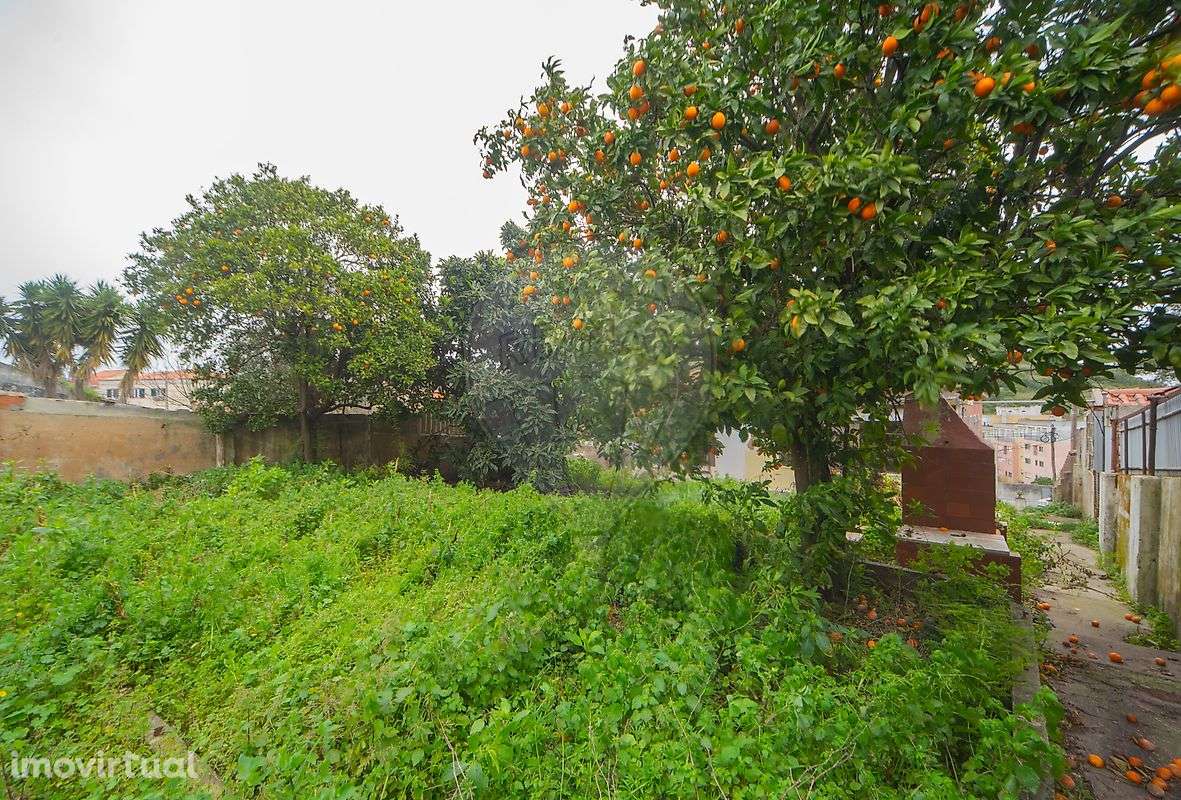 Moradia T4 para venda - Grande imagem: 2/24