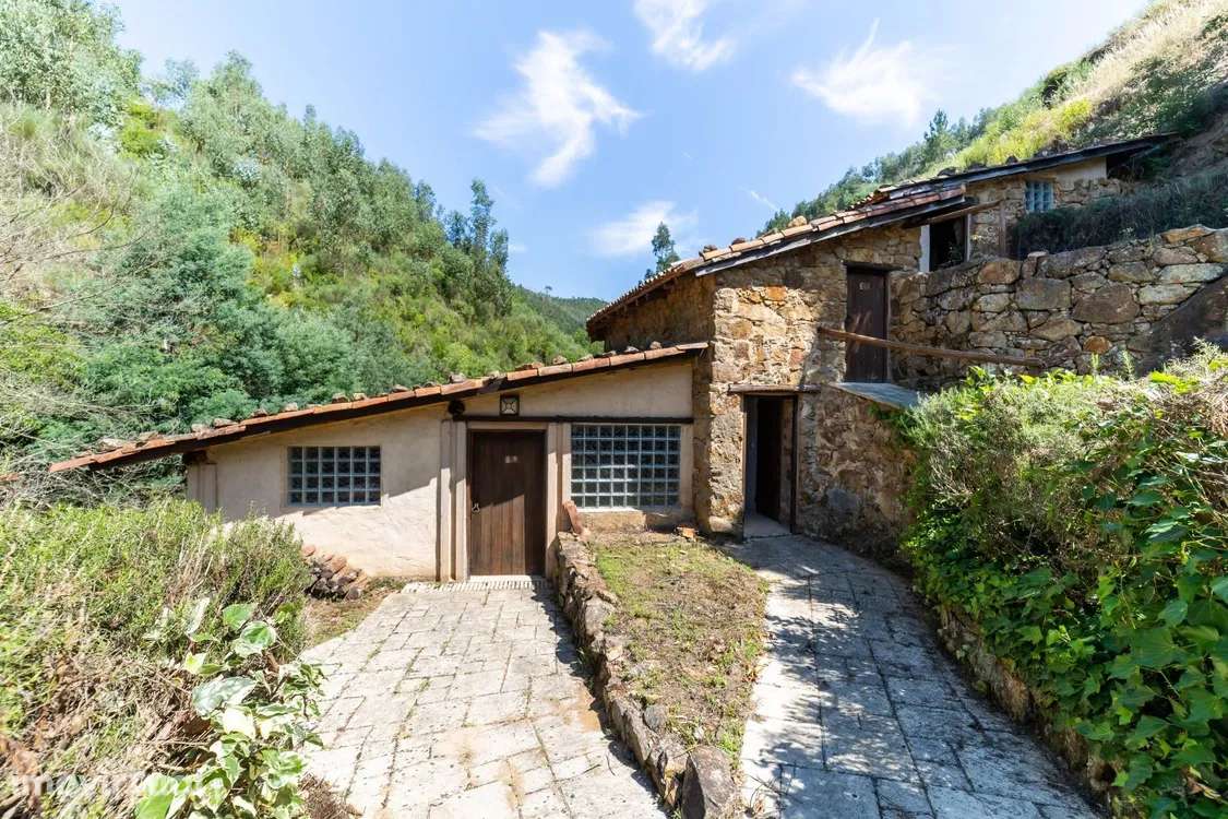 Moradia em Pedrógão Grande, Graça - Grande imagem: 3/20