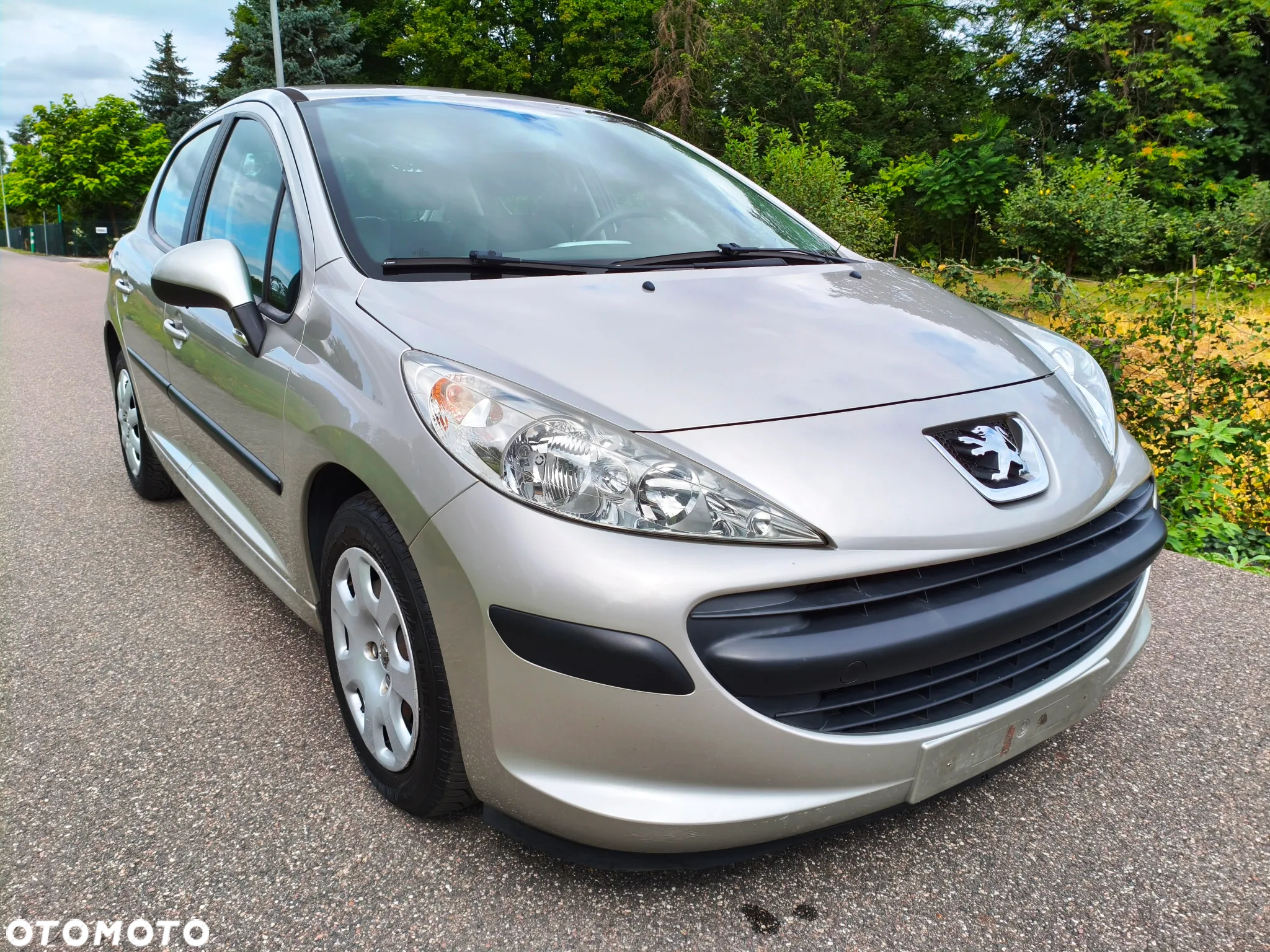 Peugeot 207 - 5