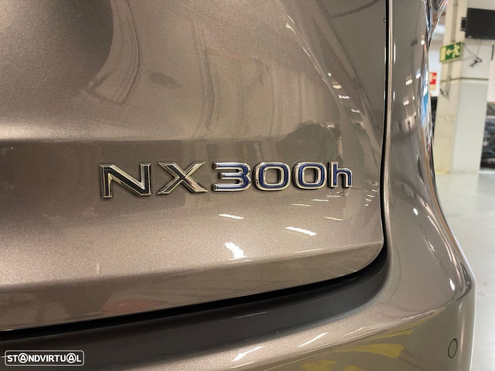 Lexus NX 300h - 28
