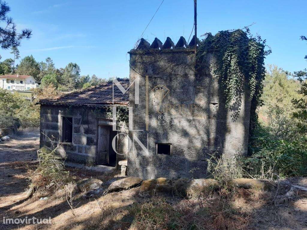 Quinta de Alvim com 27000m2 a 7 km do Marco de Canaveses - Grande imagem: 4/7