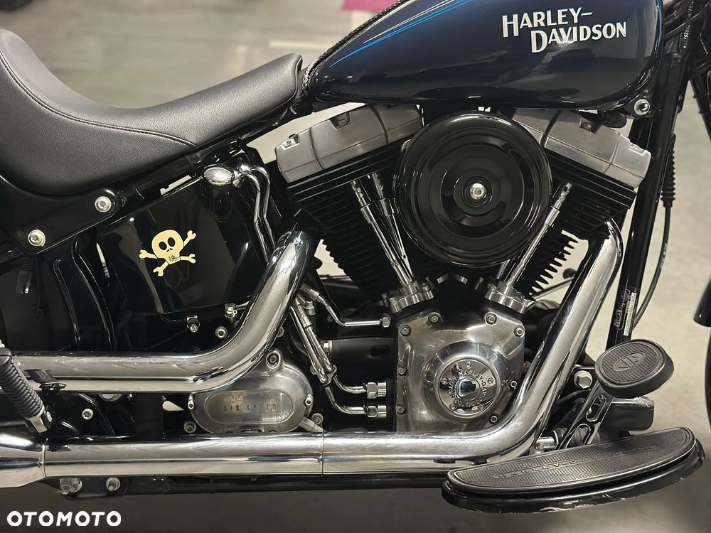Harley-Davidson Softail Cross Bones - 11