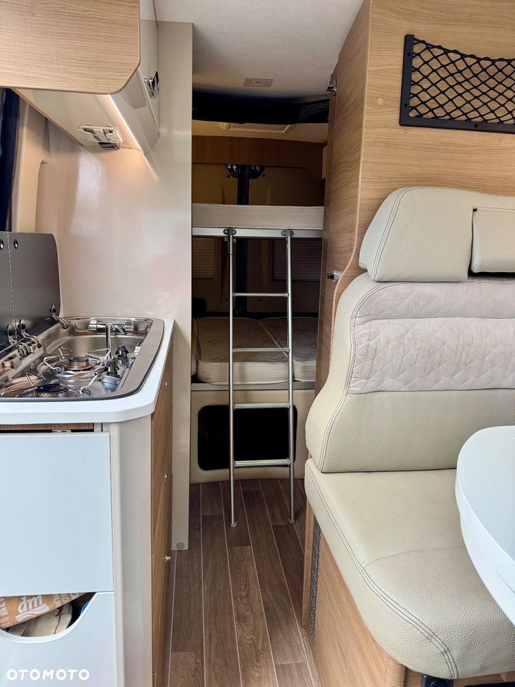 McLOUIS Prestige - 22