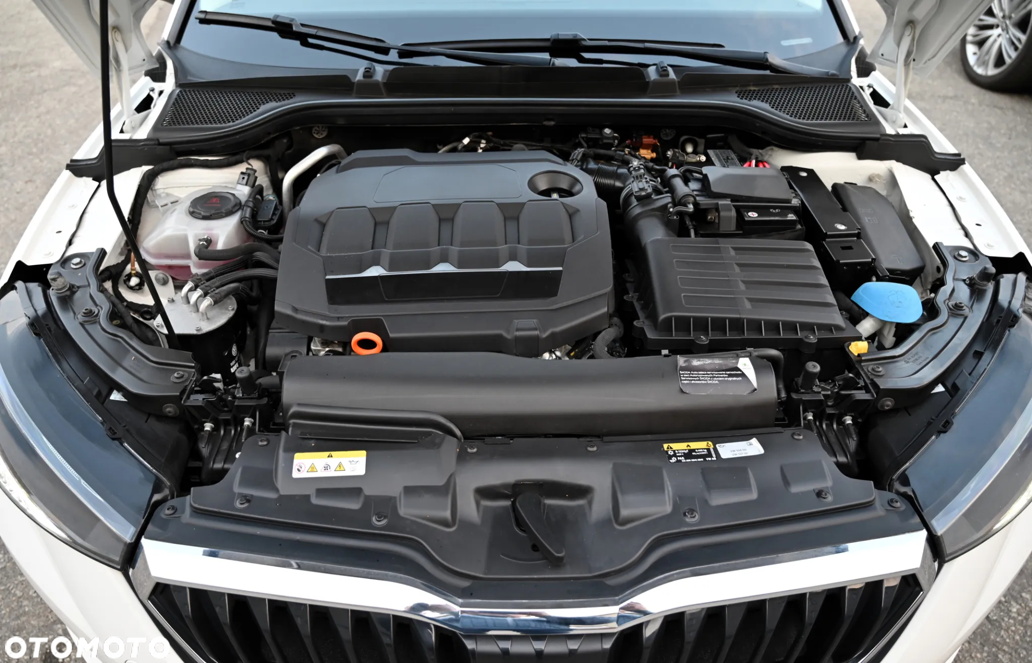 Skoda Scala - 39
