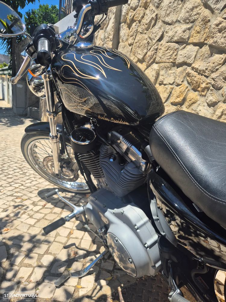 Harley-Davidson 883 Custom - 7