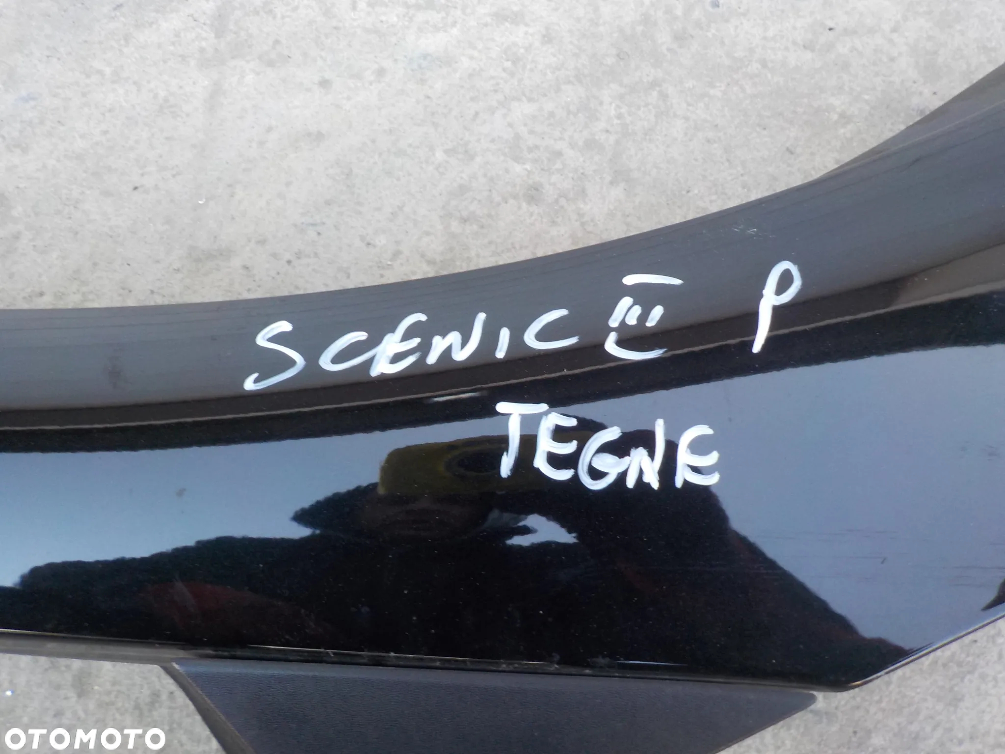 RENAULT SCENIC III LISTWA LEWA PRAWA SZYBY CZOŁOWEJ PRZEDNIEJ  KOMPLET KOLOR TEGNE - 3