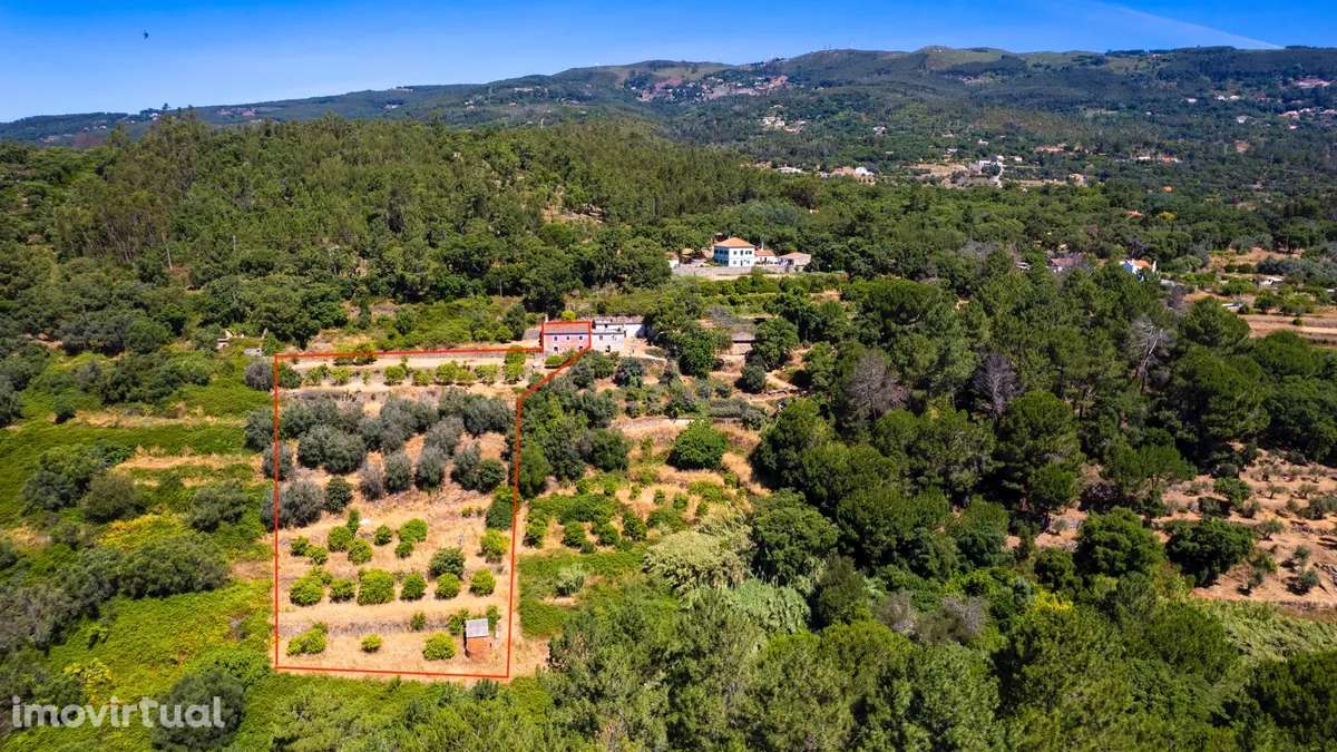 Quintinha Horta Velha Monchique - Grande imagem: 2/13