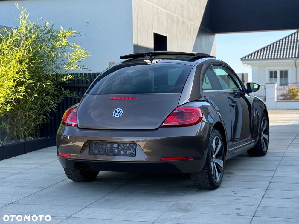Volkswagen Beetle - 8