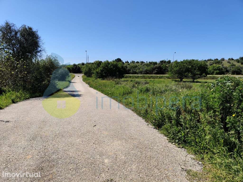 Terreno com Armazem com 11.950 m2 - Armação de Pêra - Sítio da Valim - Grande imagem: 5/21