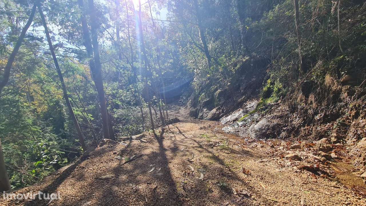 Terreno  para venda - Grande imagem: 5/19