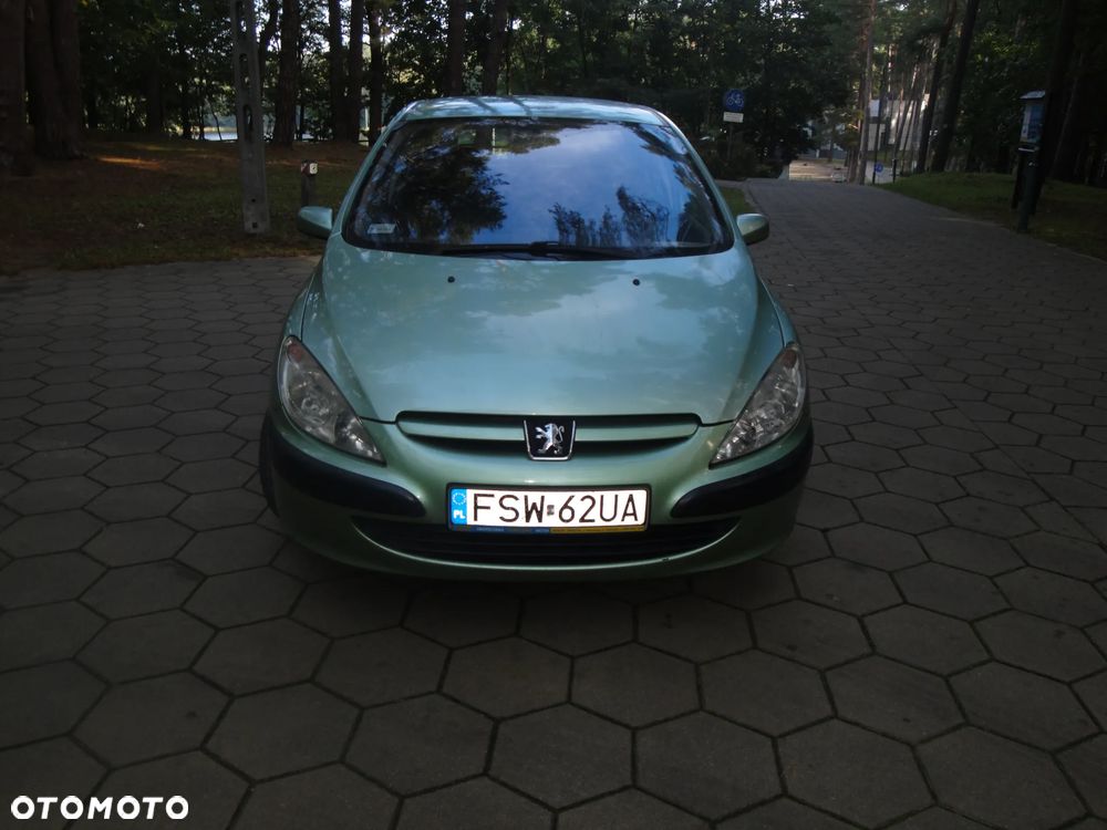 Peugeot 307 1.6 XS Class - 1