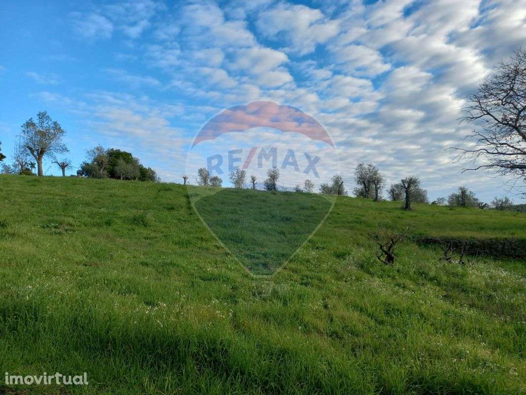 Terreno  para venda - Grande imagem: 3/5