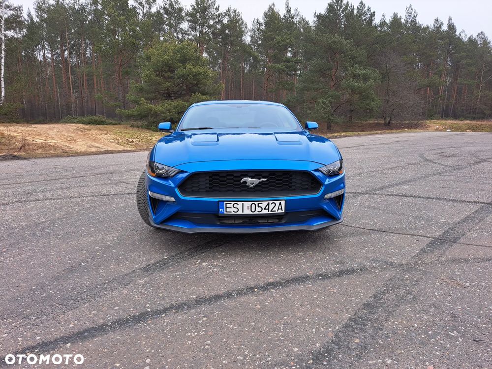 Ford Mustang 2.3 EcoBoost - 10