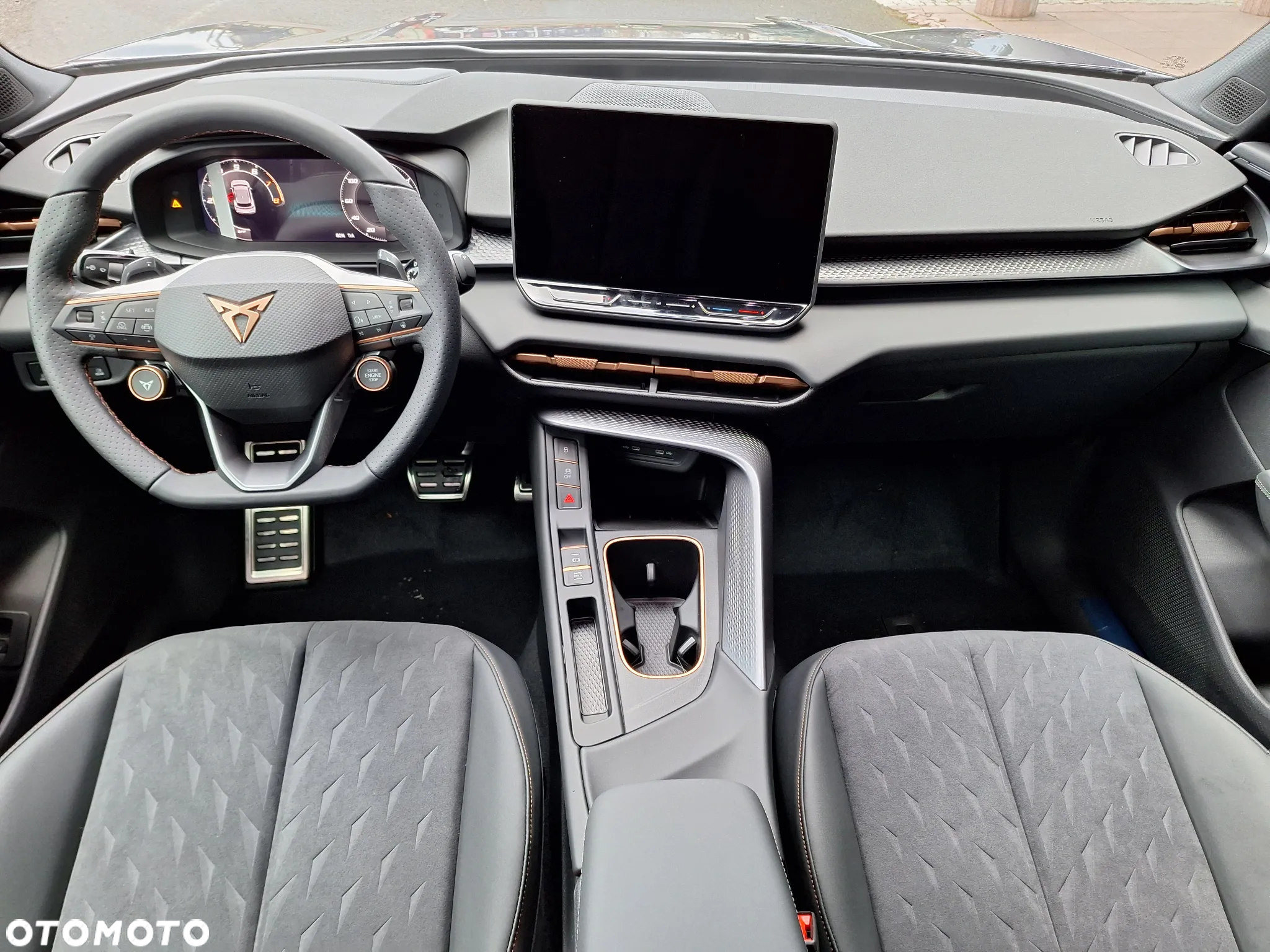 Cupra Terramar 2.0 TSI 4Drive DSG - 10