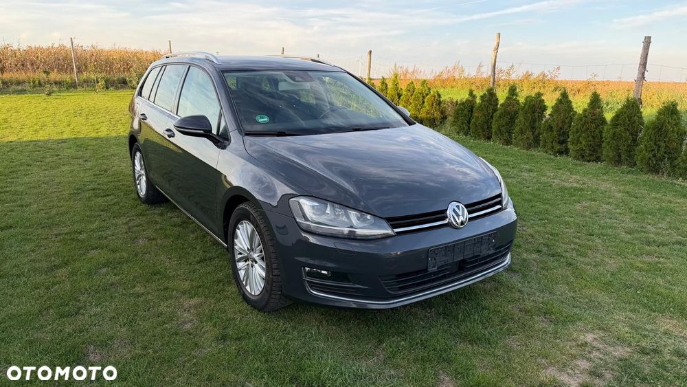 Volkswagen Golf - 1