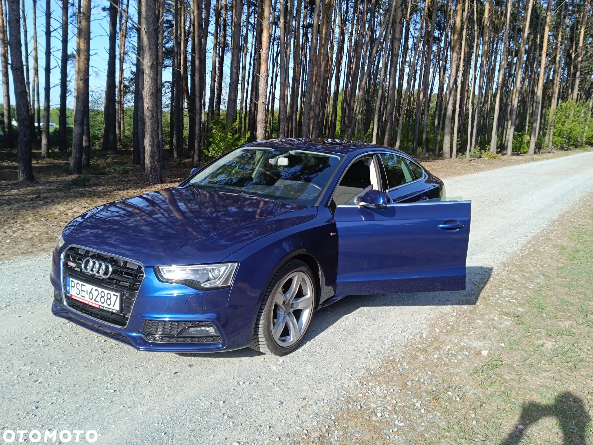 Audi A5 2.0 TDI Sportback DPF - 1