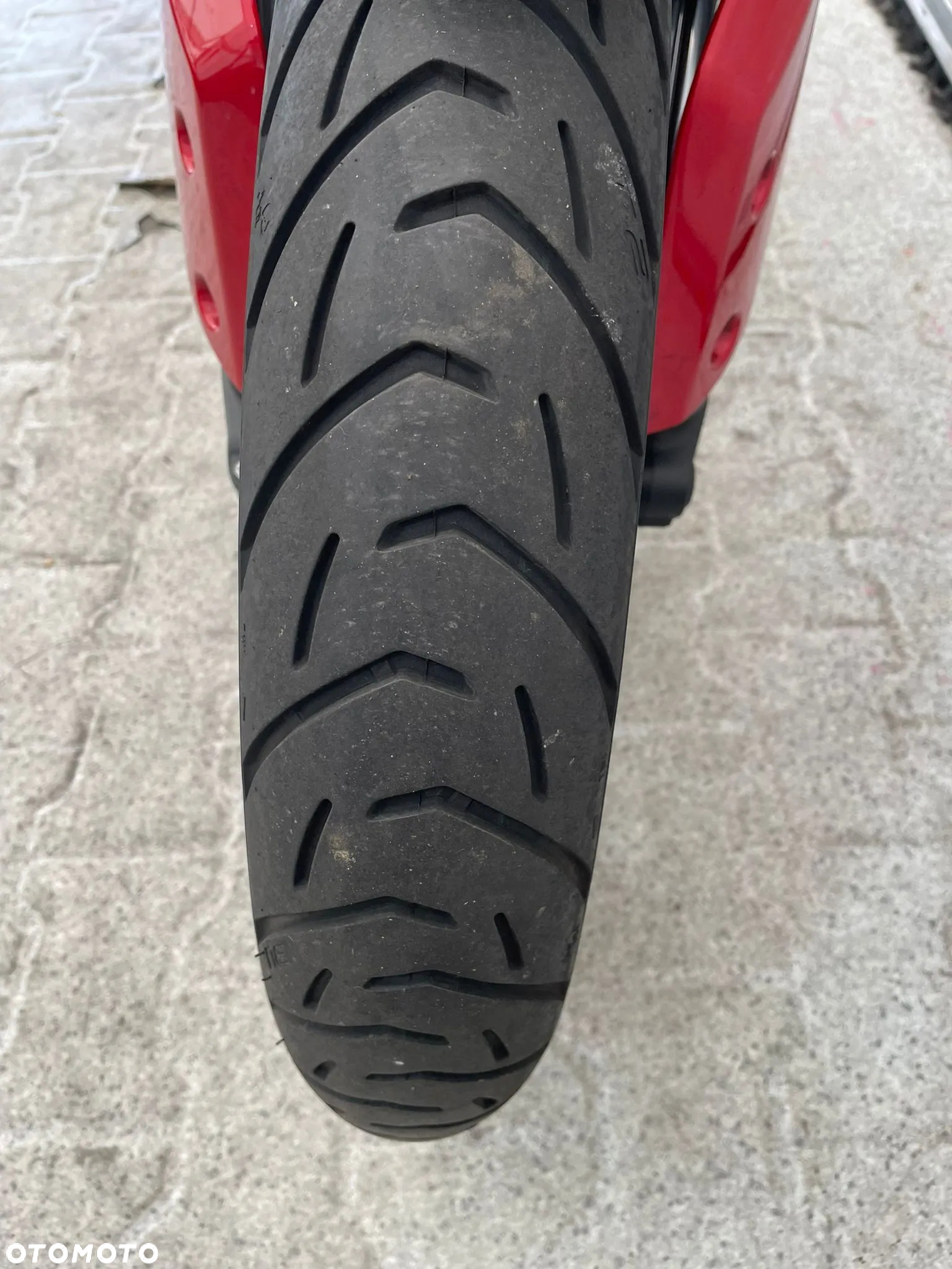 Triumph Tiger - 13