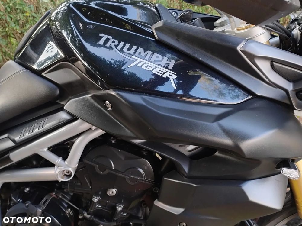 Triumph Tiger - 8