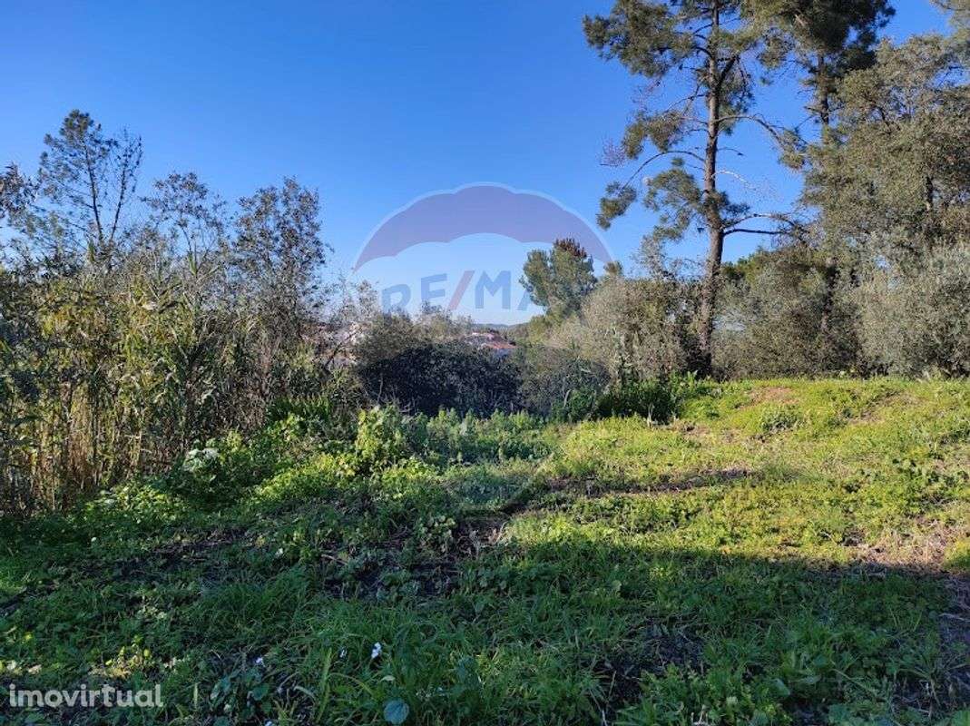 Terreno  para venda - Grande imagem: 5/10