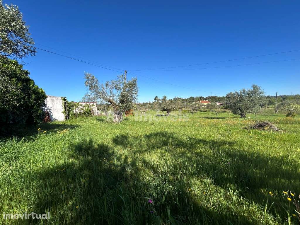 Terreno plano para construção - Pesqueira, Tomar - Grande imagem: 5/25