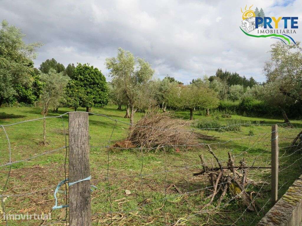 Terreno para construção de duas moradias a 5 minutos da Sertã – pohled 3