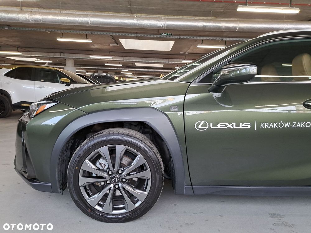 Lexus UX 300h F Sport Design - 36
