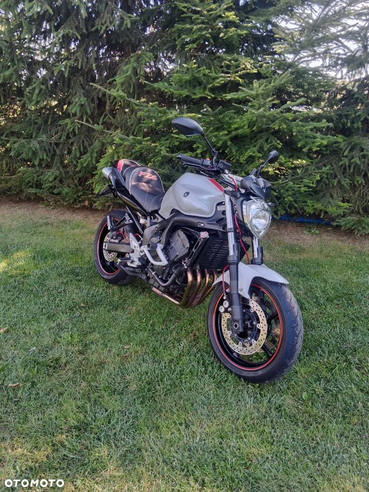 Yamaha FZ6 - 1
