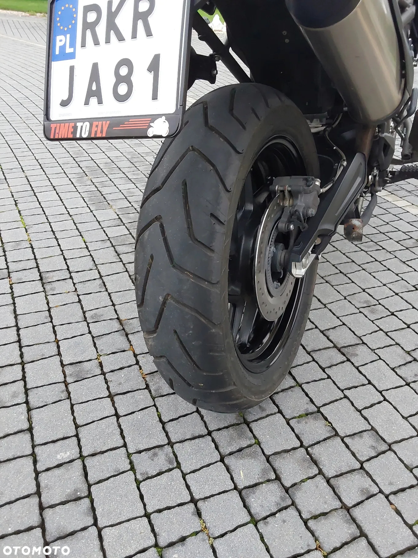 Triumph Tiger - 20