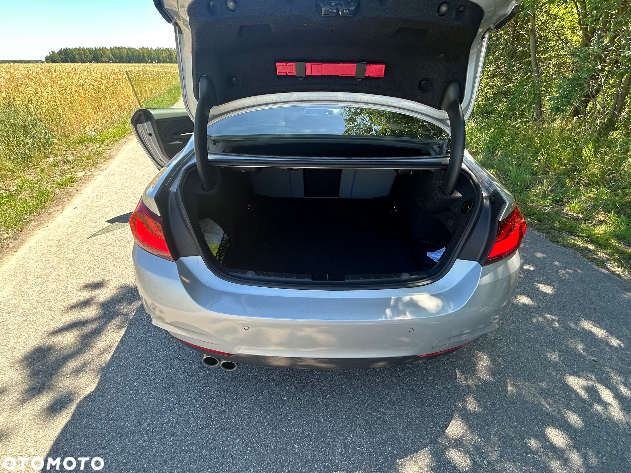 BMW Seria 4 420d Coupe - 21