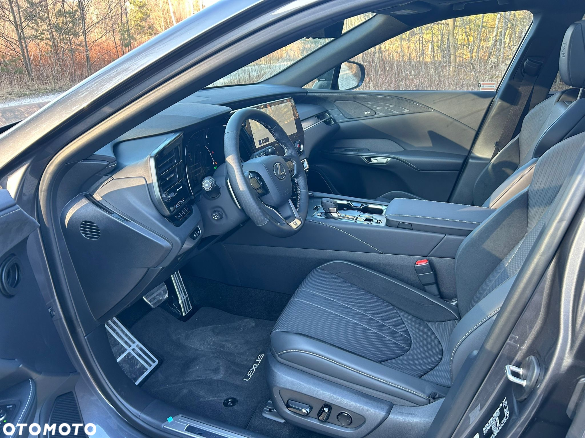 Lexus RX 500h F Sport - 21