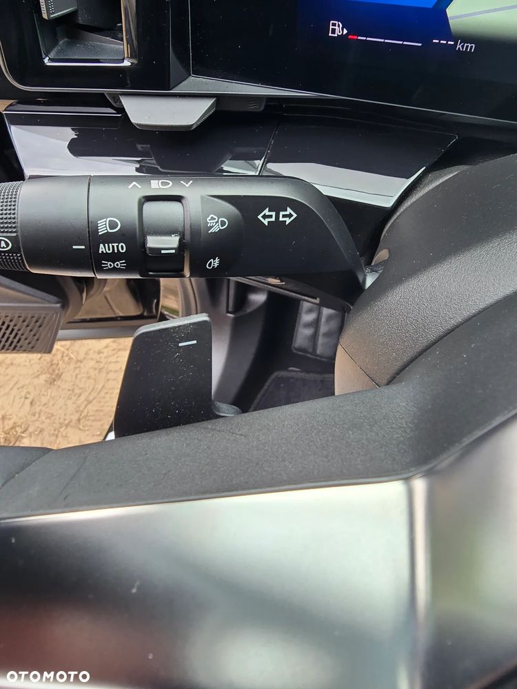 Renault Austral - 30