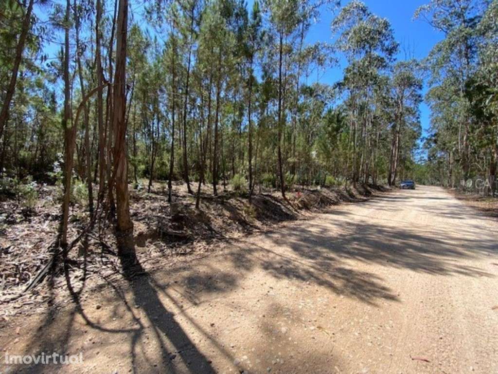 Terreno - Grande imagem: 4/7