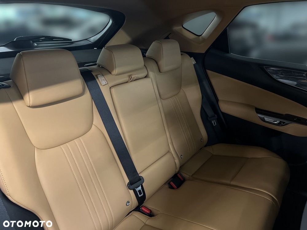 Lexus NX - 15