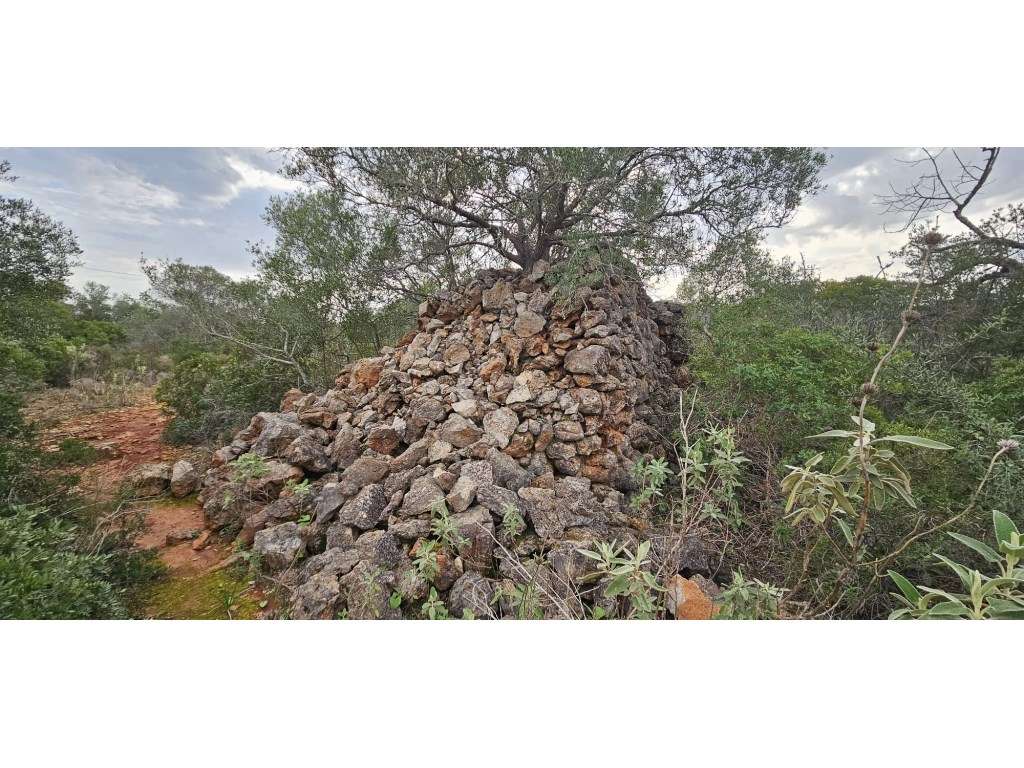 Terreno com ruina em Santa Margarida, Tavira, Algarve - Grande imagem: 4/9