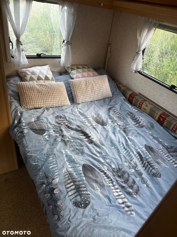 Coachman Amara - 20