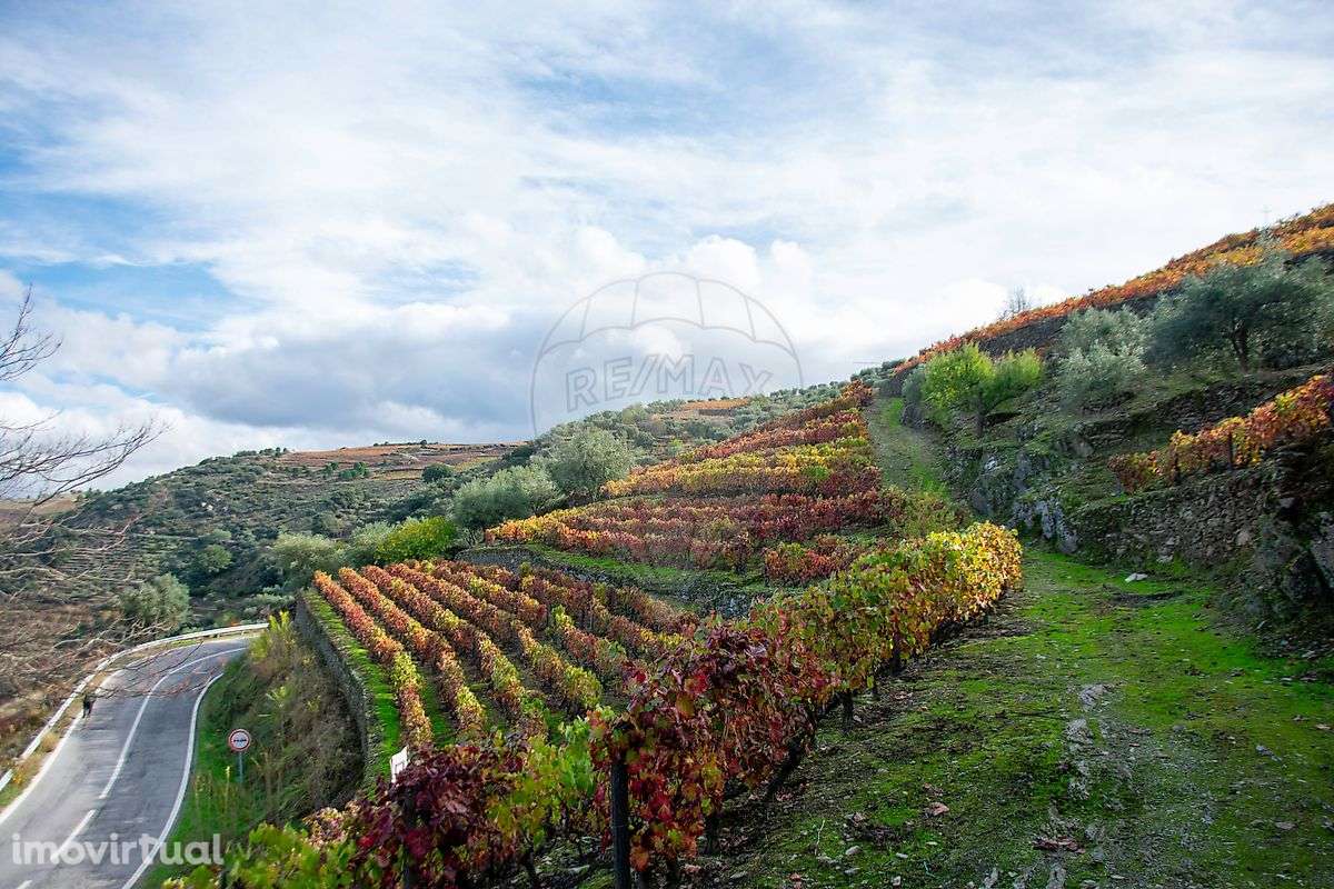 Terreno  para venda - Grande imagem: 5/23