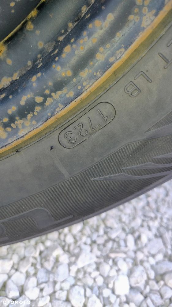 Volkswagen Golf - 15