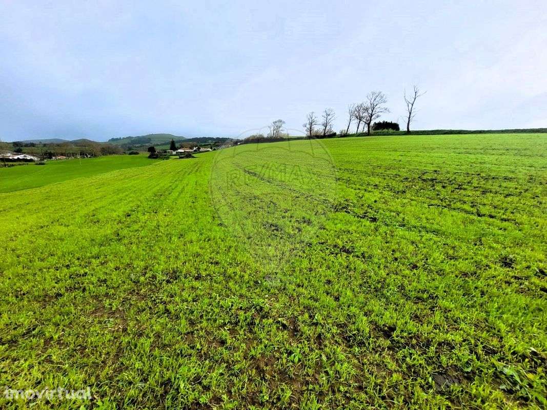 Terreno  para venda - Grande imagem: 4/8