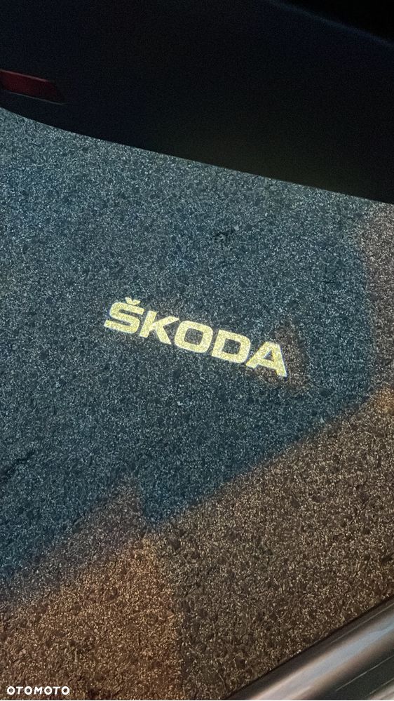 Skoda Karoq - 3