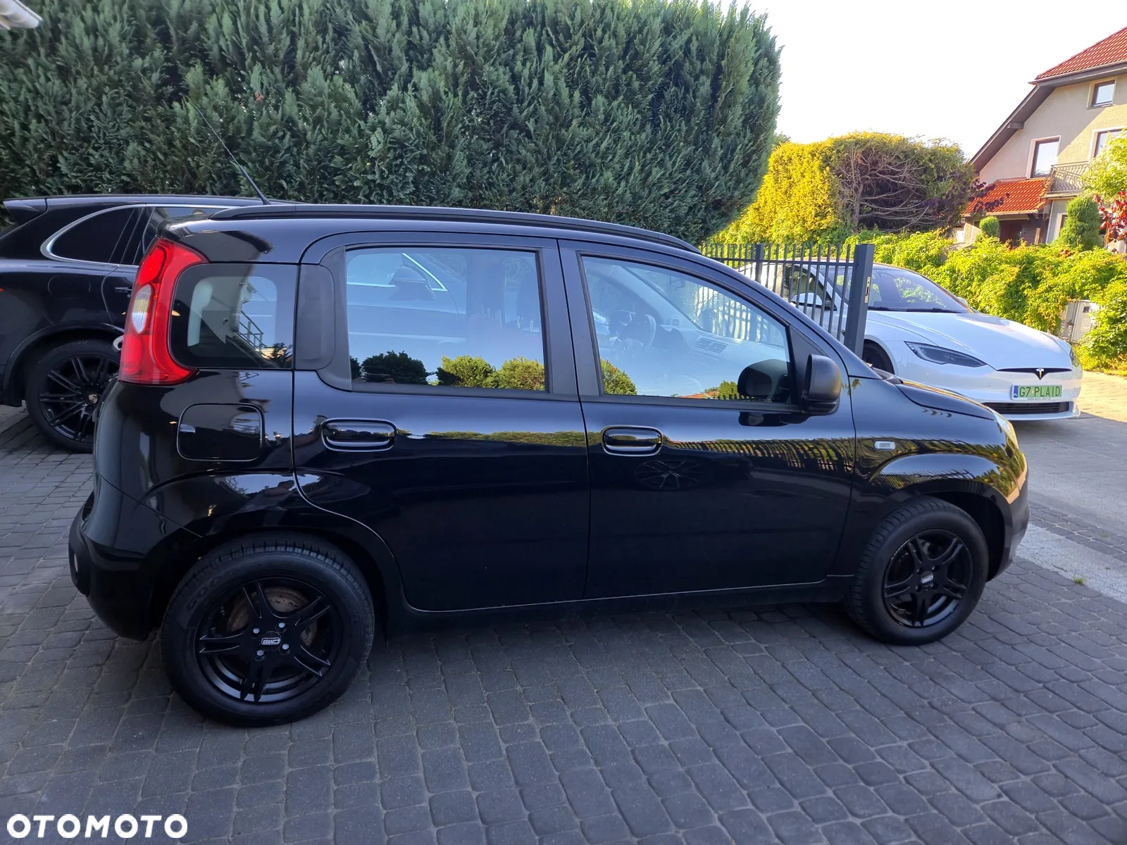 Fiat Panda 1.2 Dynamic Eco - 5