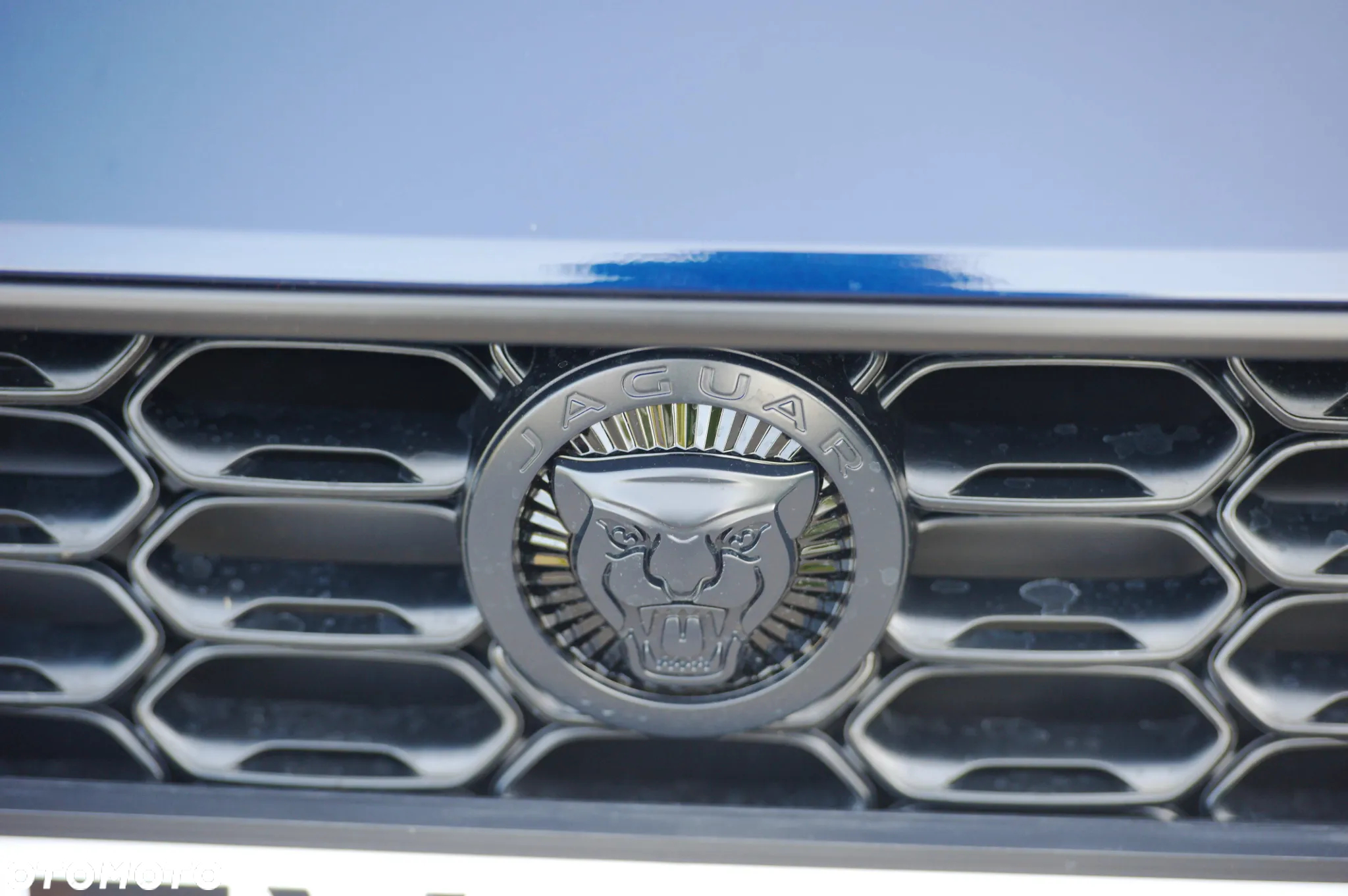 Jaguar F-Type 5.0 V8 S/C 75 - 10