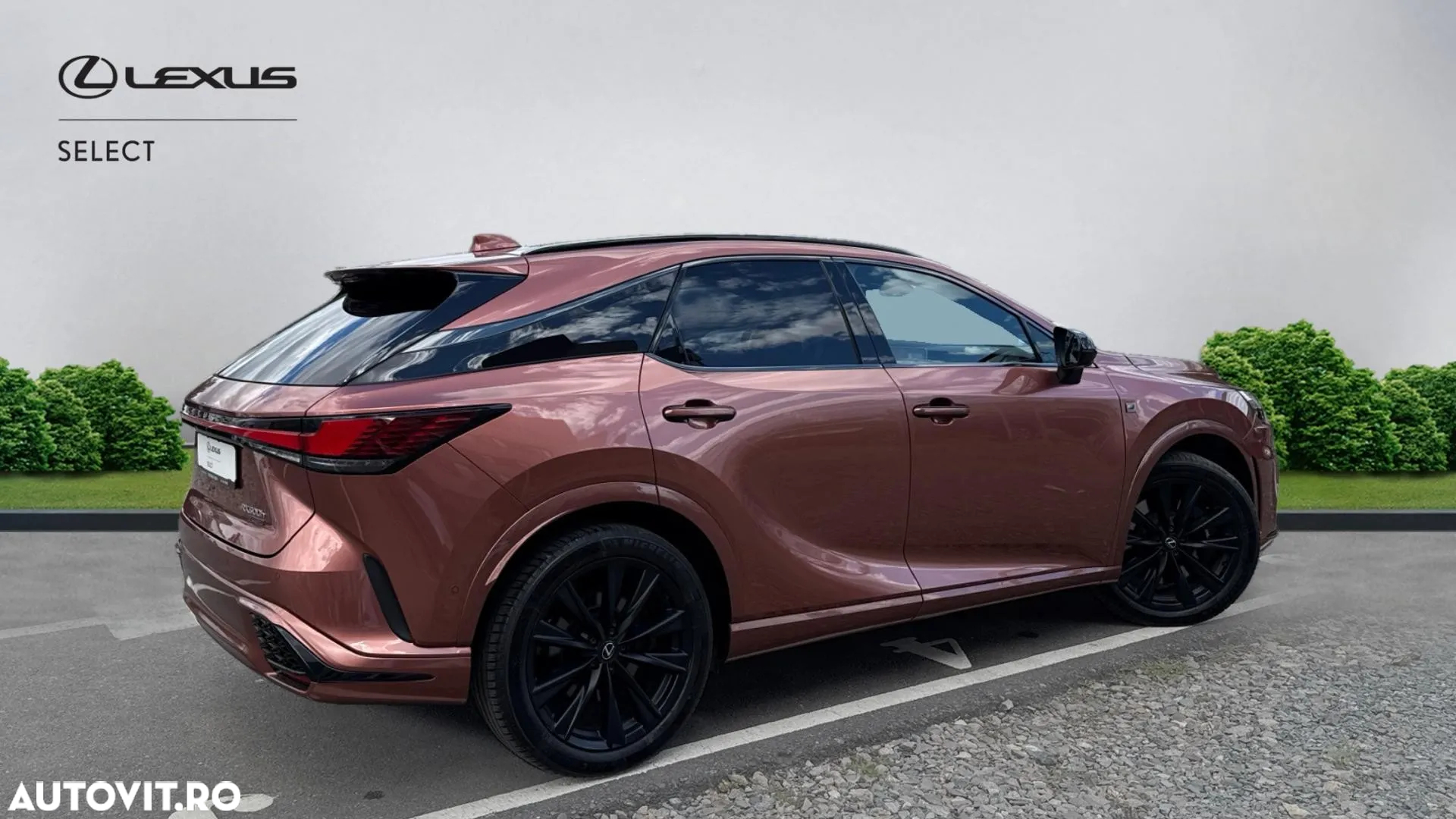 Lexus Seria RX - 20