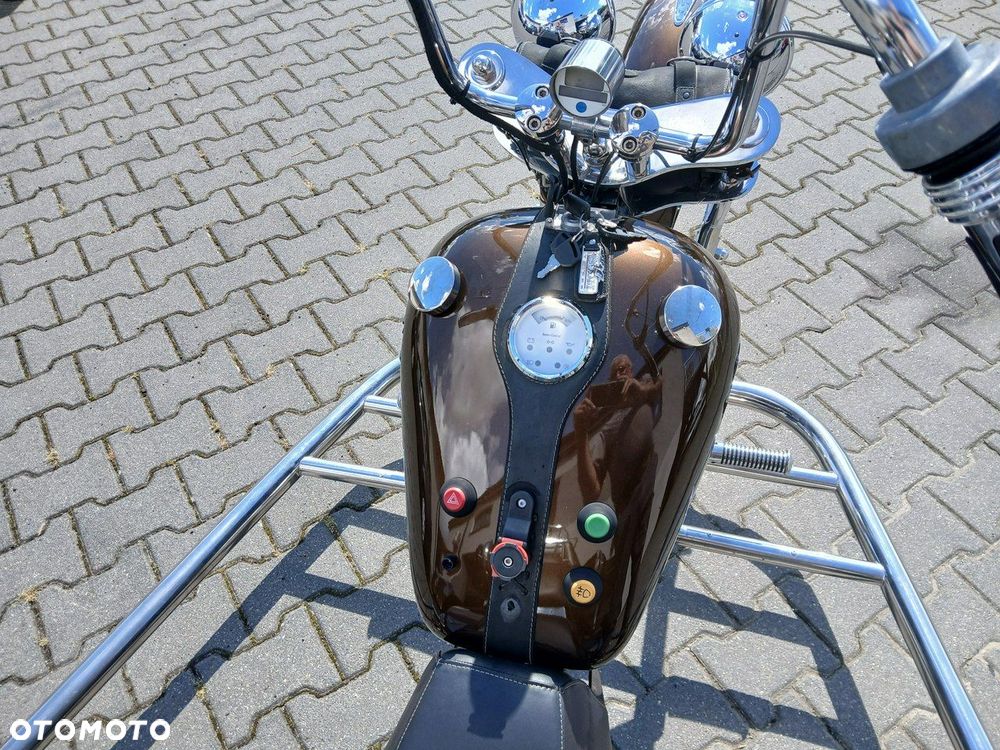 BOOM Low Rider - 19