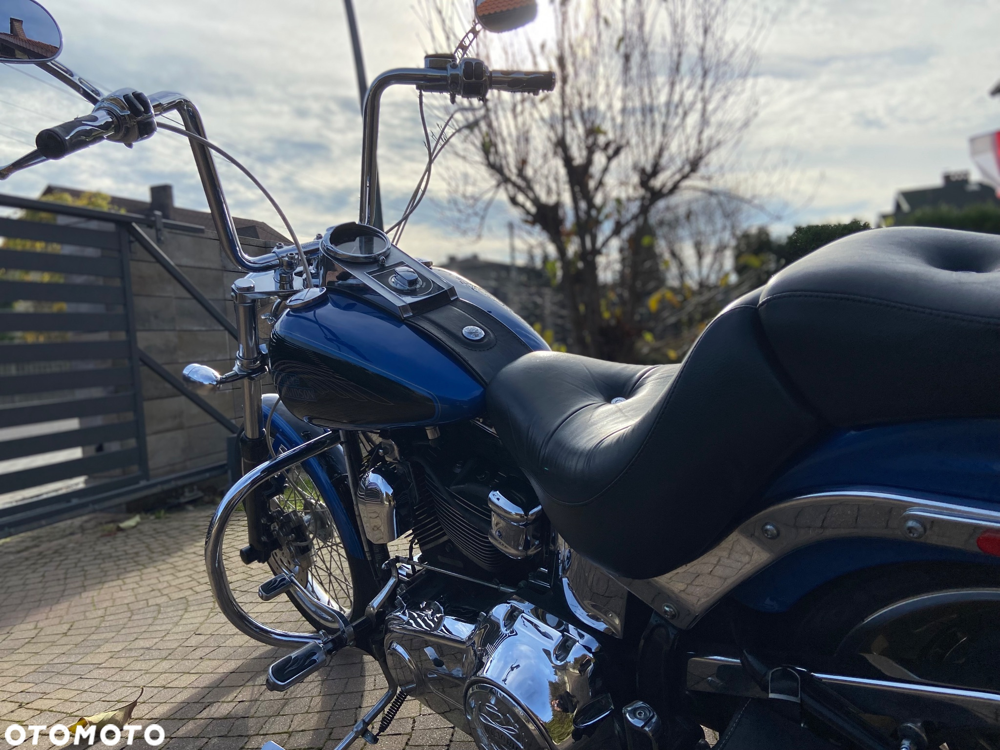 Harley-Davidson Softail Custom - 4