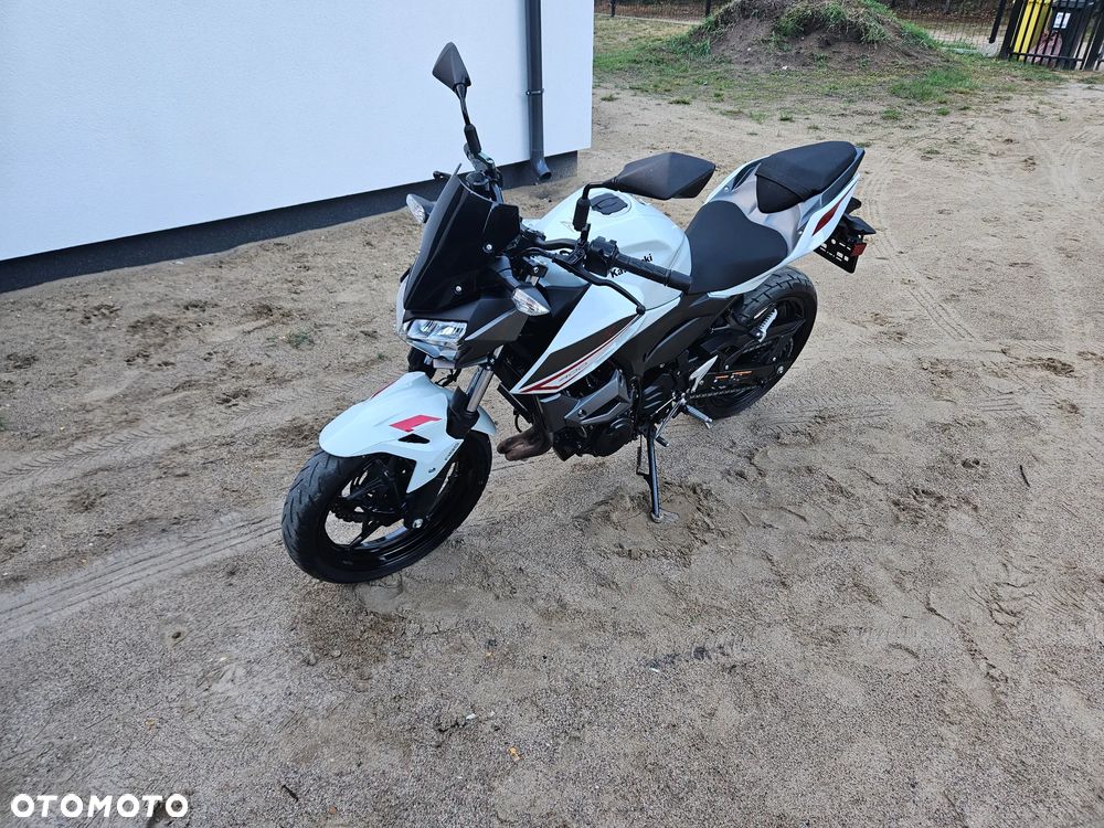 Kawasaki Z - 1