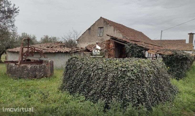Moradia para Reconstrução em Pinhel, Ourém! - Grande imagem: 4/32