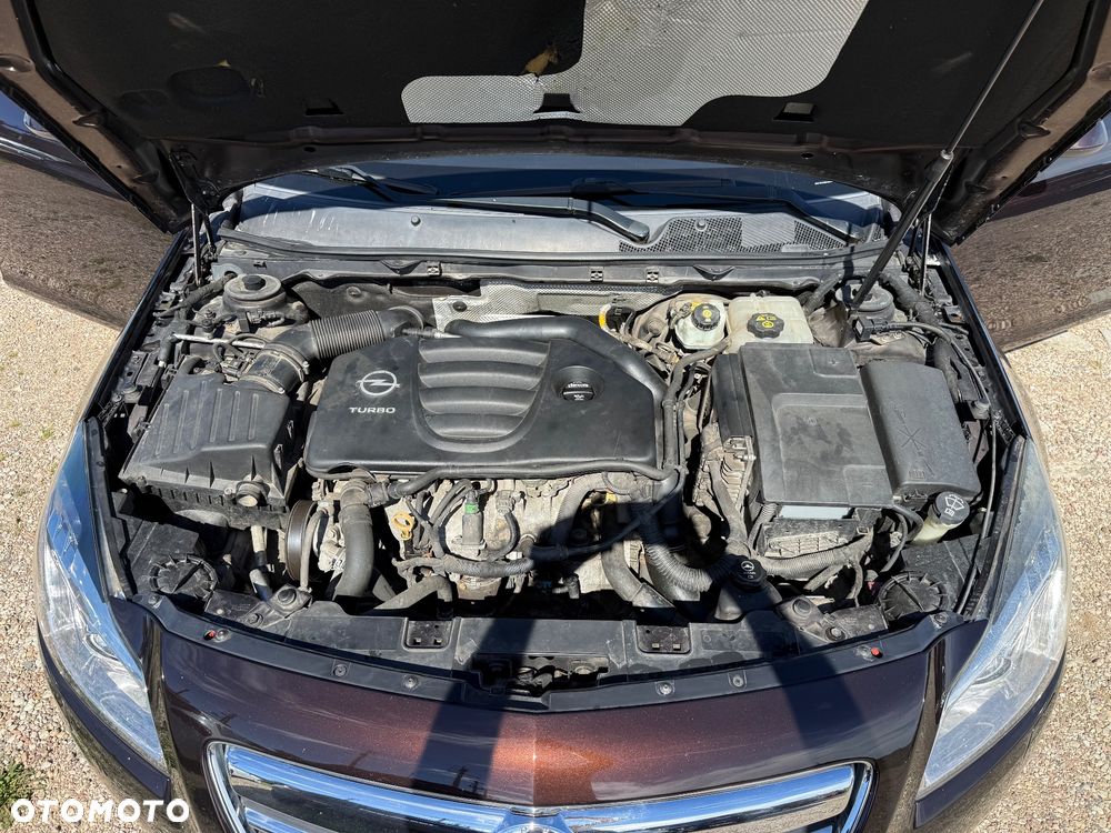 Opel Insignia 2.0 Turbo Design Edition - 19