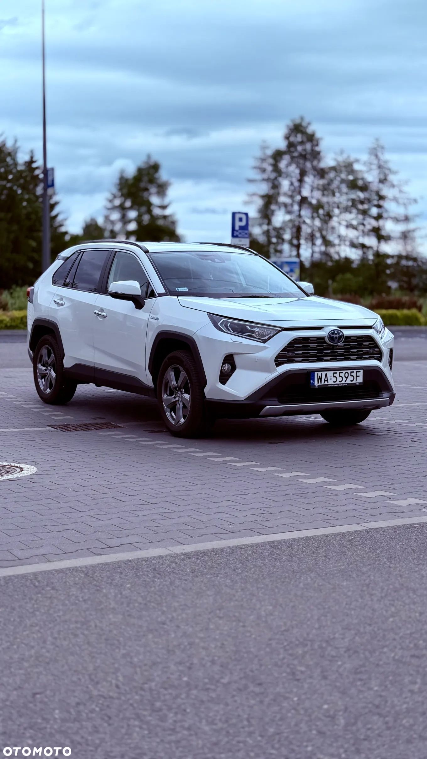 Toyota RAV4 2.5 Hybrid Executive 4x2 - 1