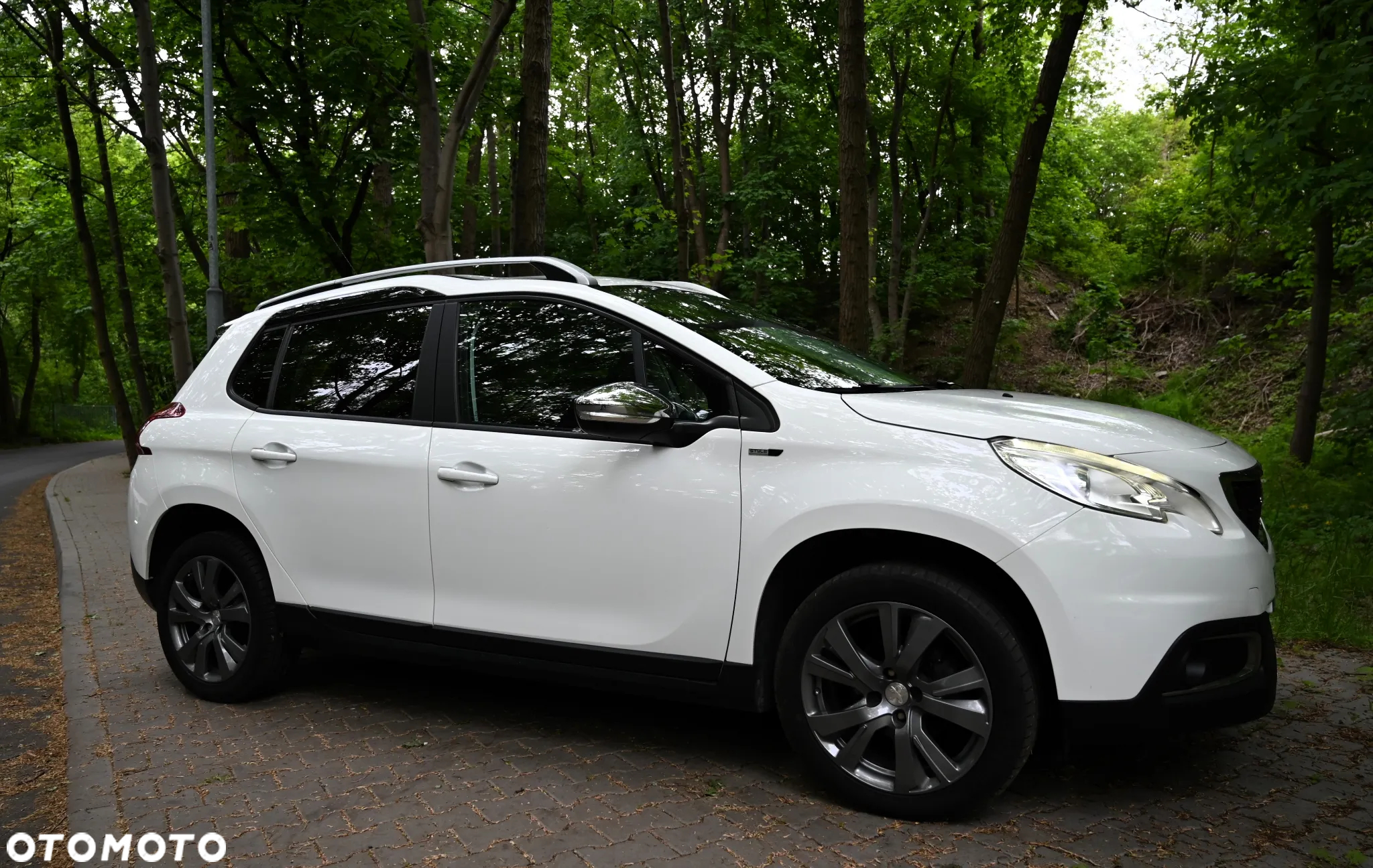 Peugeot 2008 1.6 BlueHDi Active - 16